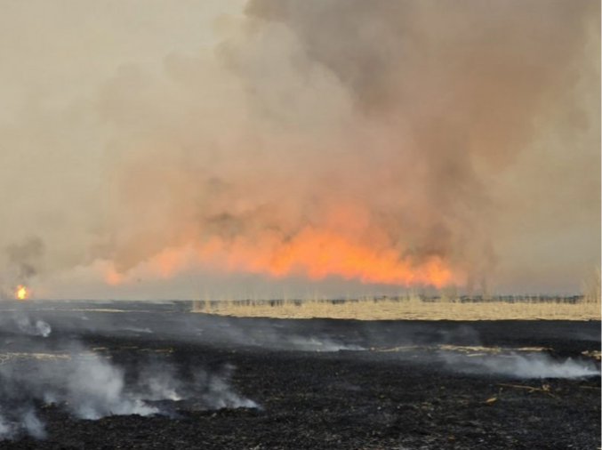Ой хээрийн түймрийн аюулаас сэрэмжлүүлж байна